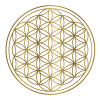 flower-of-life-7230983_640